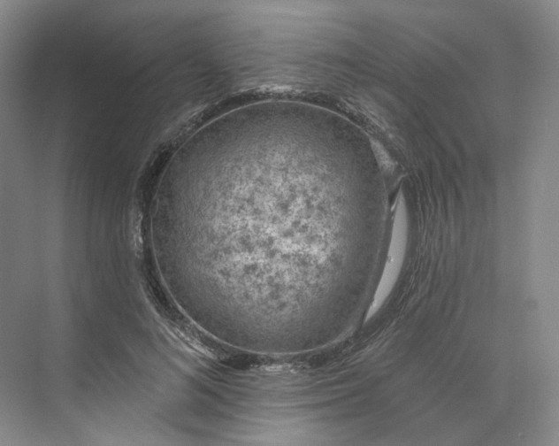 X0000073950692200609111650