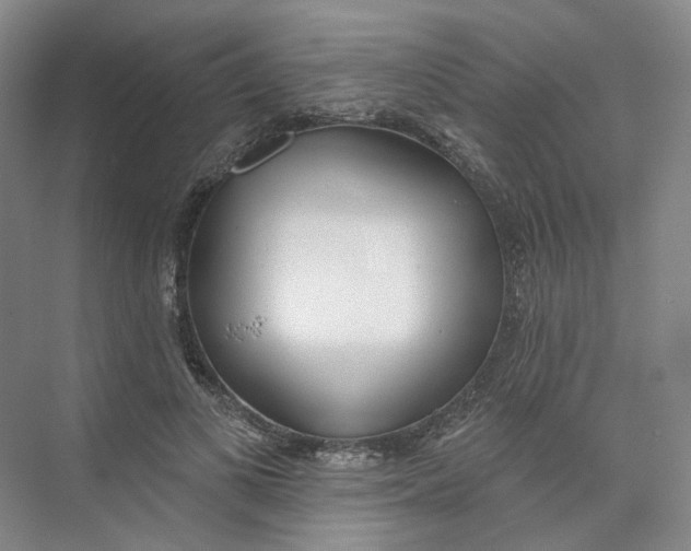 X0000073950693200609111650