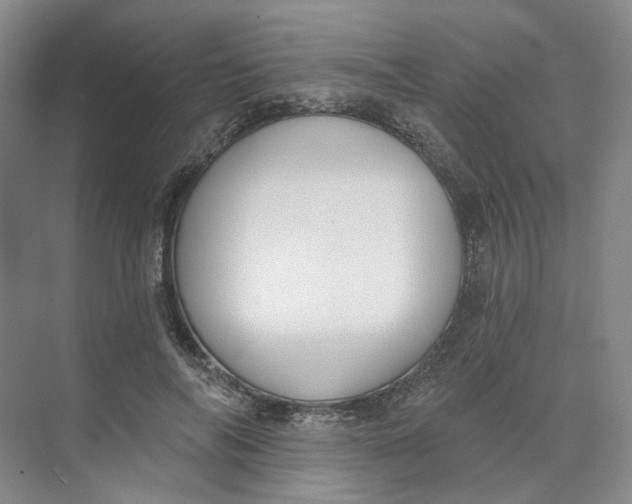 X0000073950694200609111650