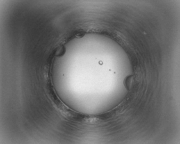 X0000073950695200609111650