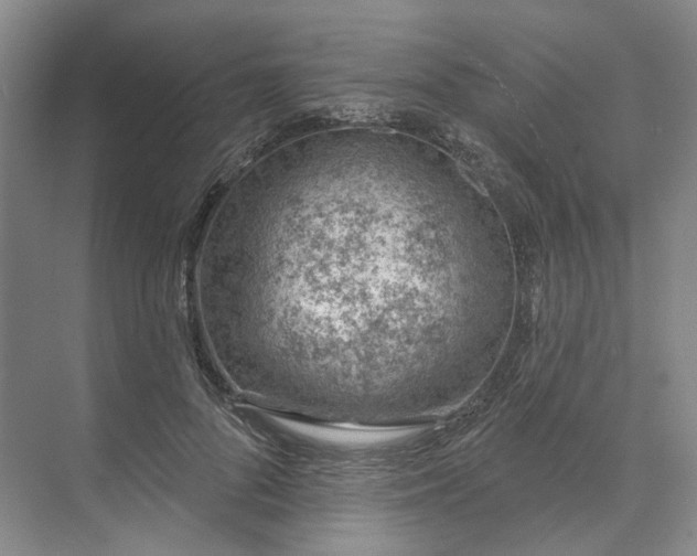 X0000073950696200609111650