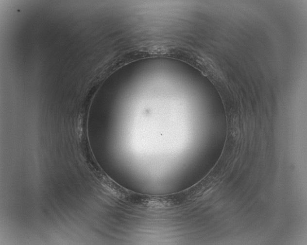 X0000073950697200609111650