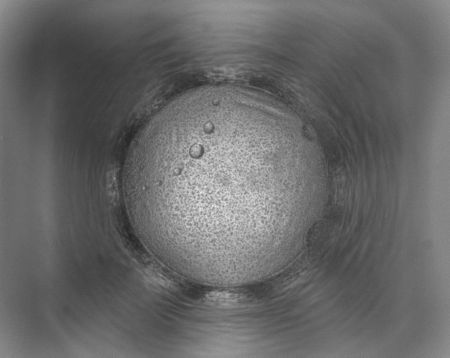 X0000073950699200609111650