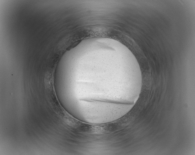 X0000073950701200609111650