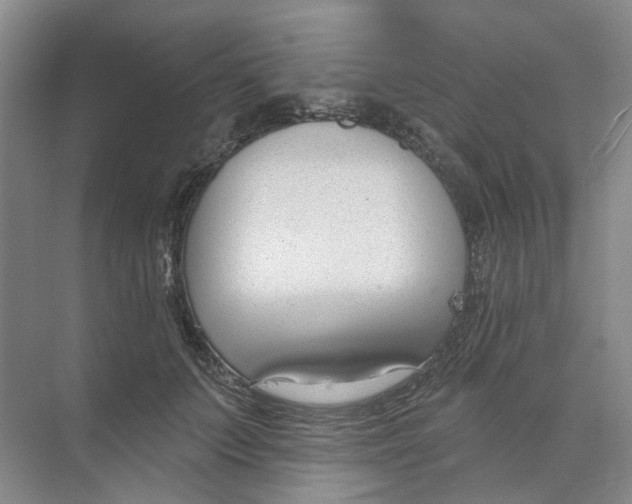 X0000073950703200609111650