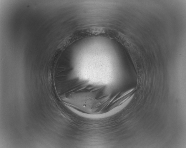 X0000073950704200609111650