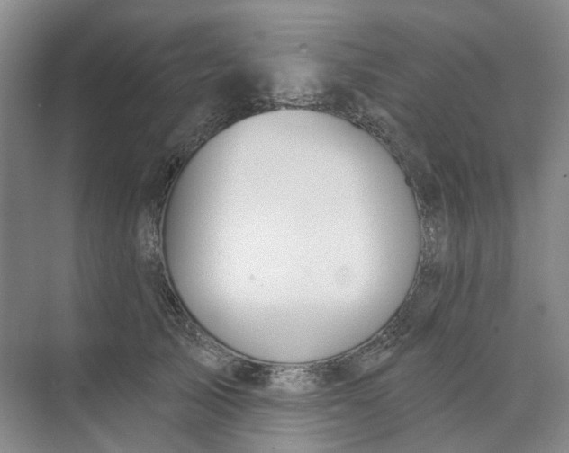 X0000073950705200609111650