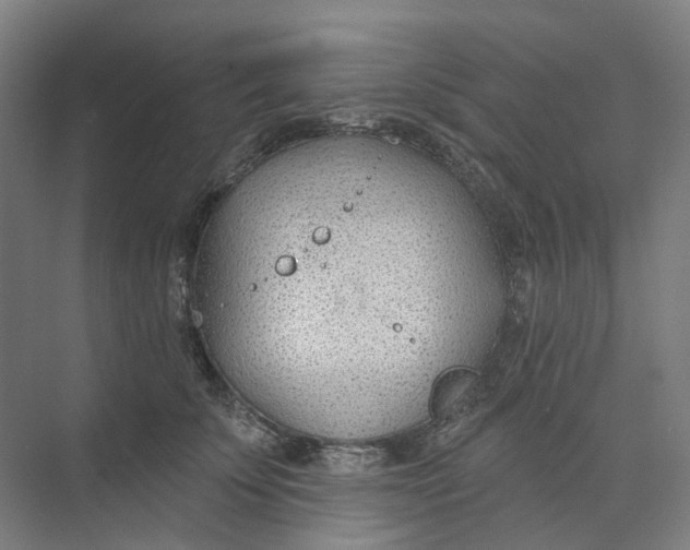 X0000073950707200609111650