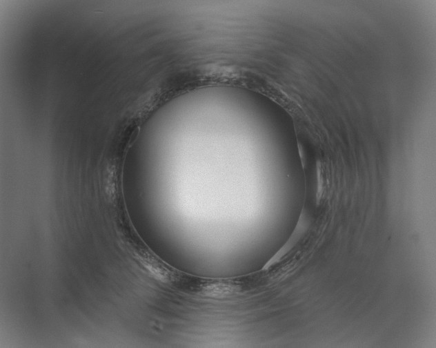 X0000073950708200609111650