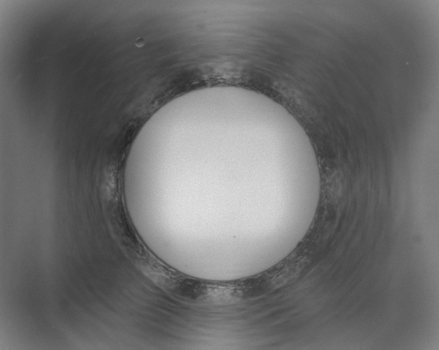 X0000073950709200609111650