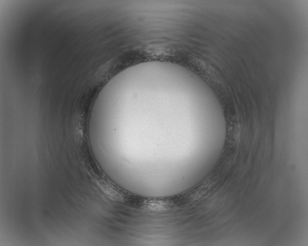 X0000073950710200609111650