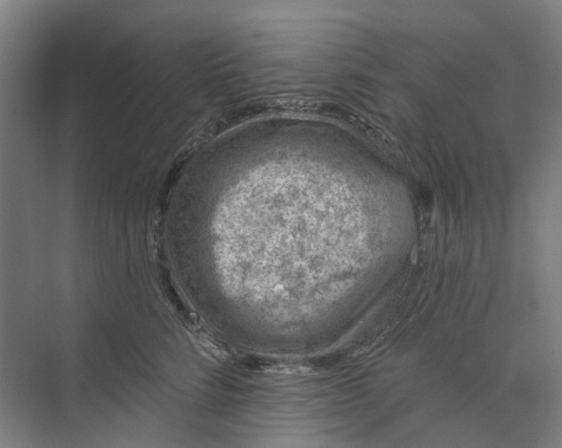 X0000073950712200609111650