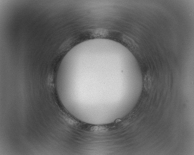 X0000073950714200609111650