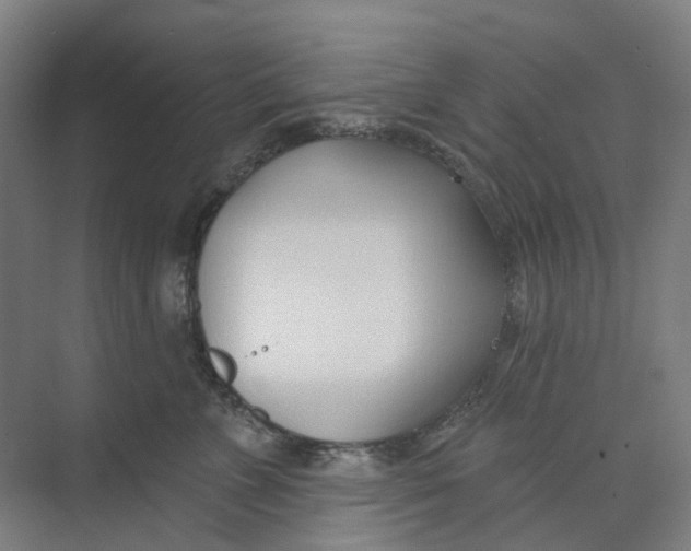 X0000073950715200609111650