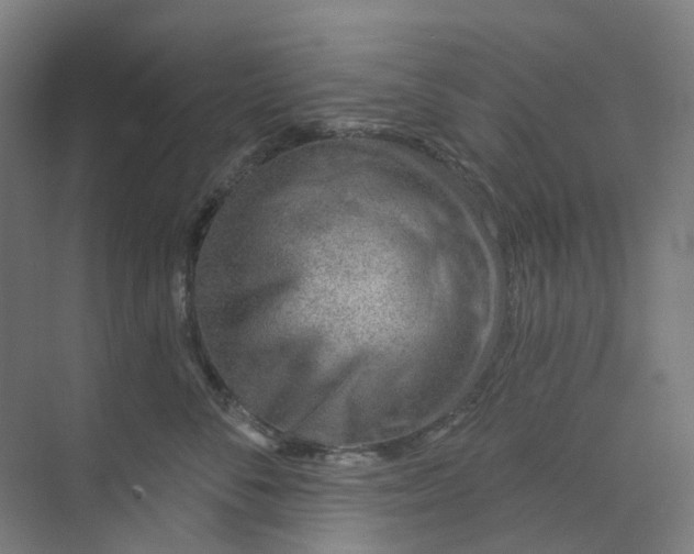 X0000073950716200609111650