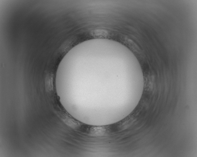 X0000073950717200609111650