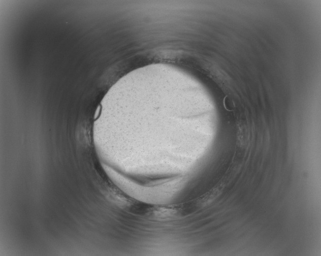 X0000073950718200609111650