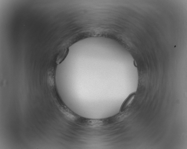 X0000073950719200609111650