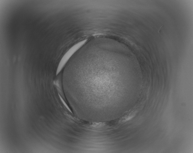 X0000073950720200609111650