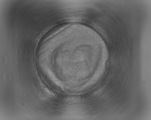 X0000073950721200609111649