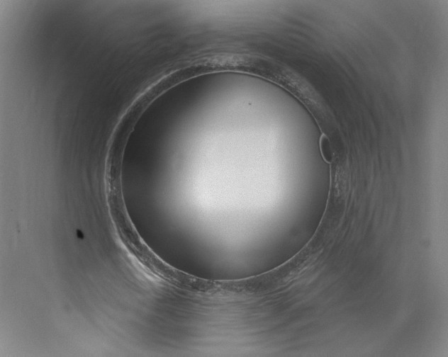 X0000073950722200609111649