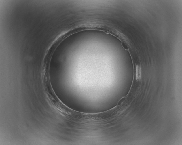 X0000073950723200609111649