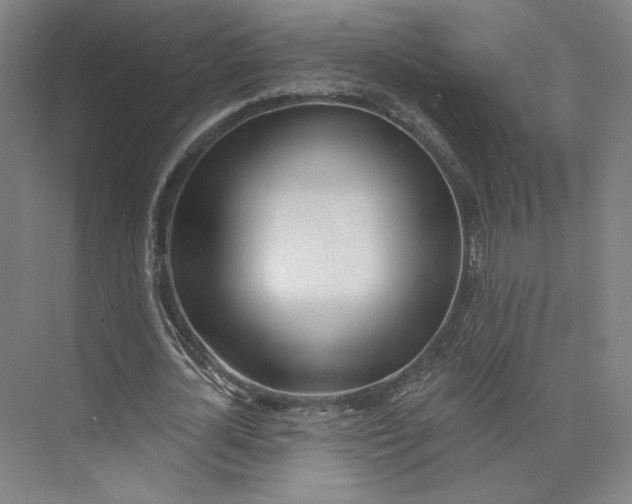 X0000073950724200609111649