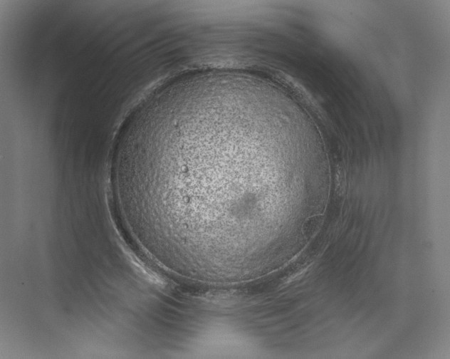 X0000073950725200609111649