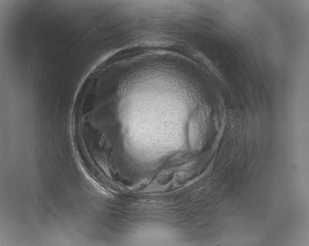 X0000073950726200609111649