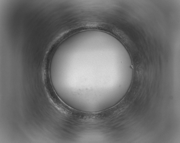 X0000073950728200609111649