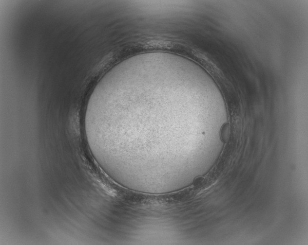 X0000073950729200609111649