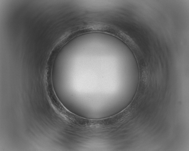 X0000073950730200609111649