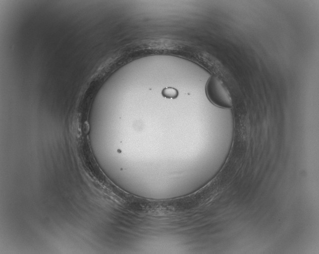 X0000073950731200609111649