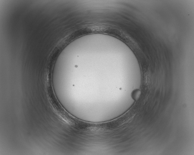 X0000073950733200609111649