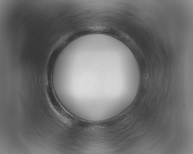 X0000073950734200609111649