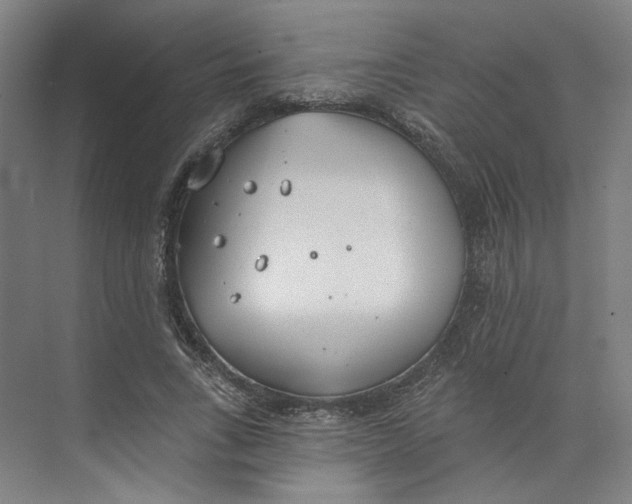 X0000073950735200609111649