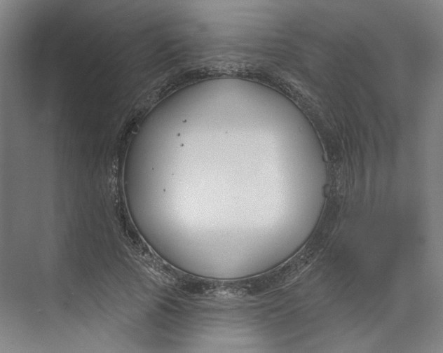 X0000073950737200609111649