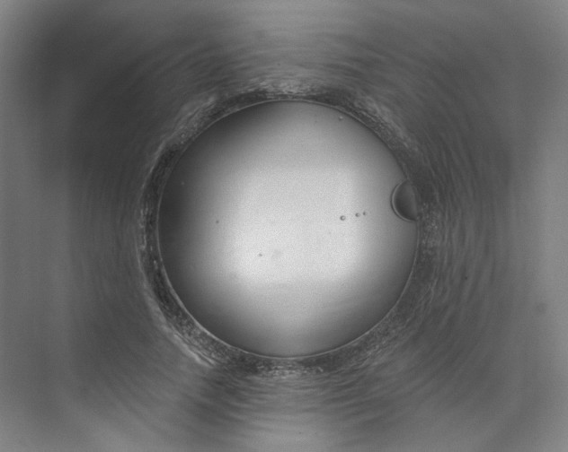 X0000073950738200609111649