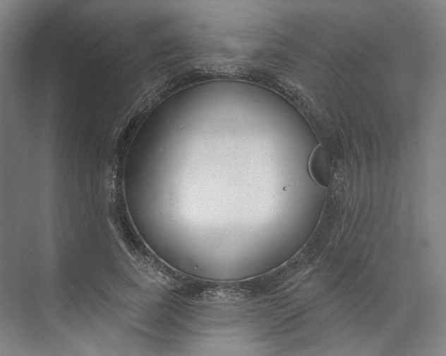 X0000073950739200609111649