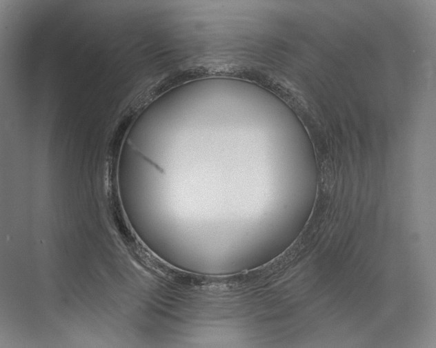 X0000073950740200609111649