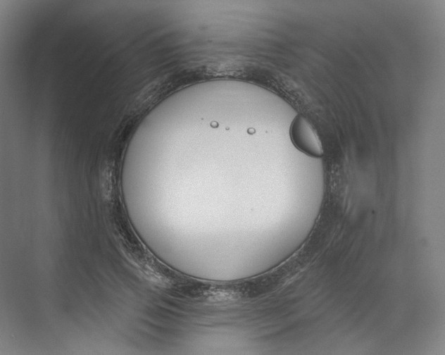 X0000073950741200609111649