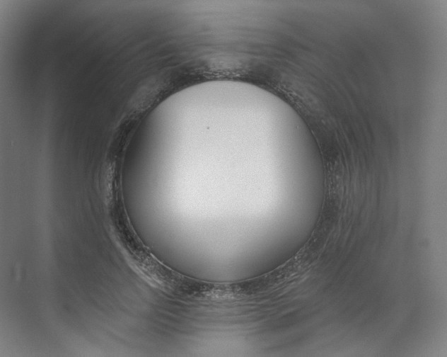 X0000073950742200609111649