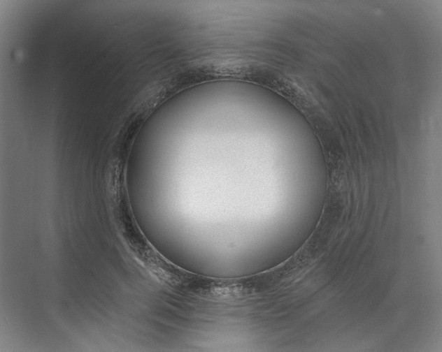 X0000073950744200609111650