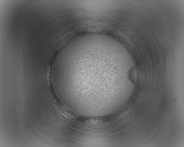 X0000073950745200609111650