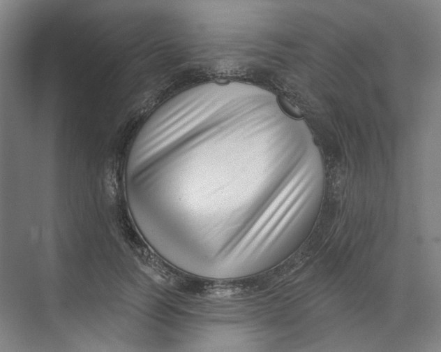 X0000073950746200609111650