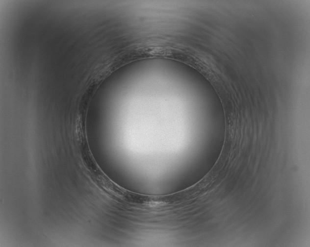 X0000073950748200609111650