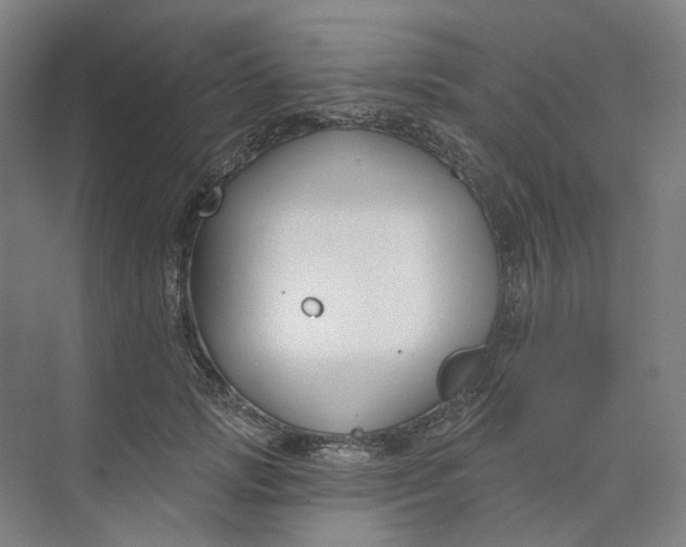 X0000073950749200609111650