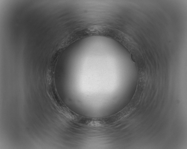 X0000073950751200609111650