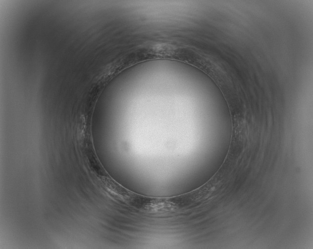 X0000073950752200609111650