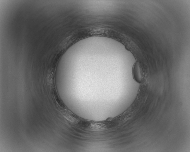 X0000073950753200609111650